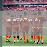 佛山南狮VS石家庄功夫